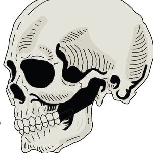 Meet your Posher, Seth